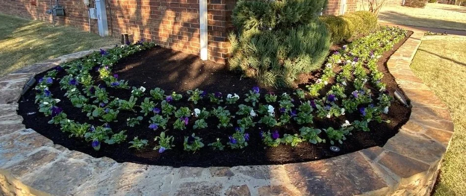 Fresh mulch on a landscape in Memphis, TN, with flowers.
