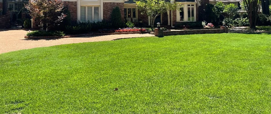 A house in Memphis, TN, with a green lawn.