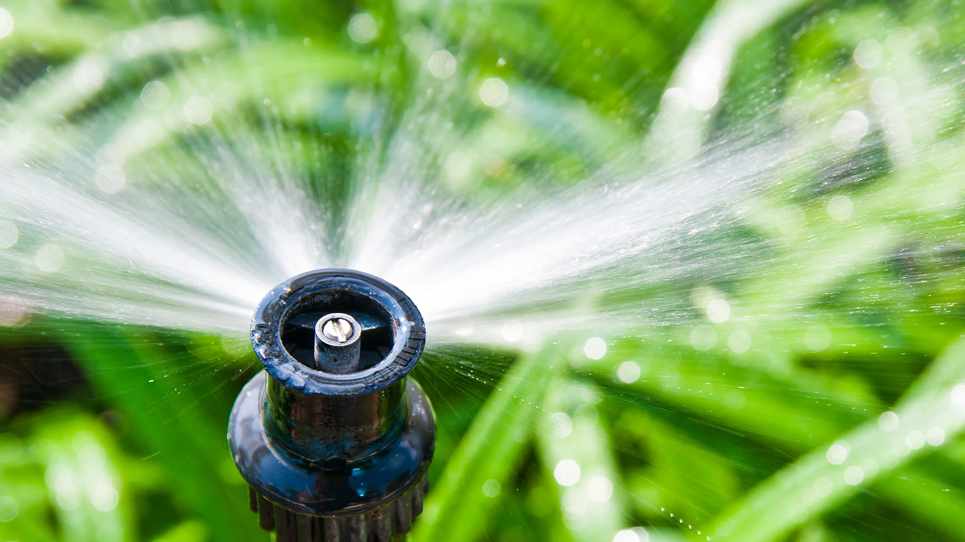 Keep Your Landscape Watered The Smart Way