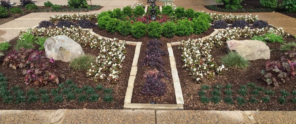Landscape bed in Memphis, TN, with flowers, mulch, and edging.