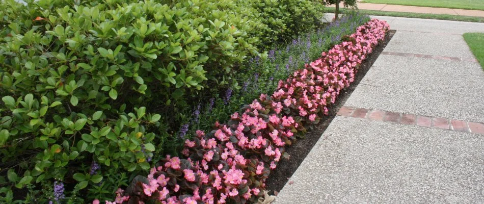 Spring flower installation in Memphis, TN.