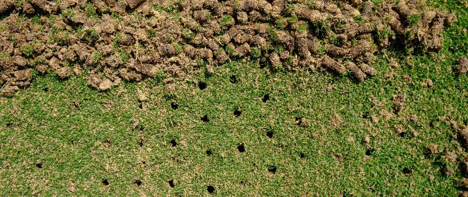 Lawn in Memphis, TN, with holes and soil cores.