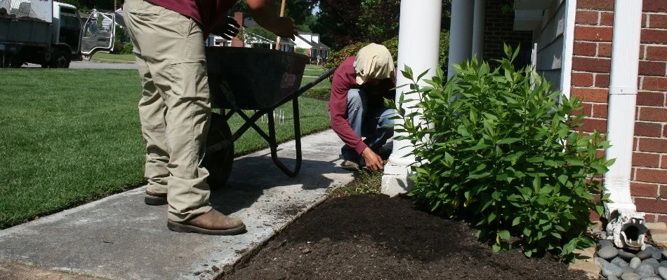 Refreshing mulch in landscape beds in Memphis, TN.