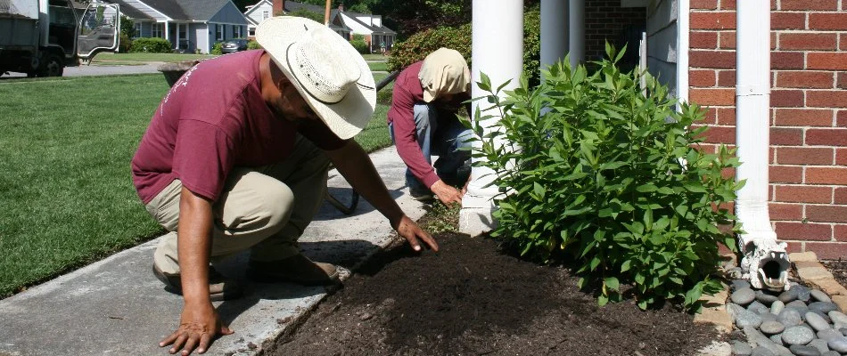 Professionals in Memphis, TN, installing mulch.