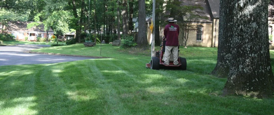 Worker on a mower in Memphis, TN, cutting grass near trees.