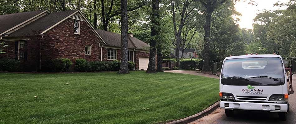 Beautiful, thick, green lawn at a home in Lakeland, TN.