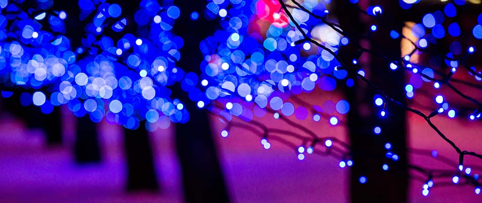 Blue Christmas lights on trees in Arlington, TN.