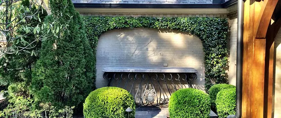 Landscape bushes and shrubs trimmed and pruning around a doorway in North Memphis, TN.