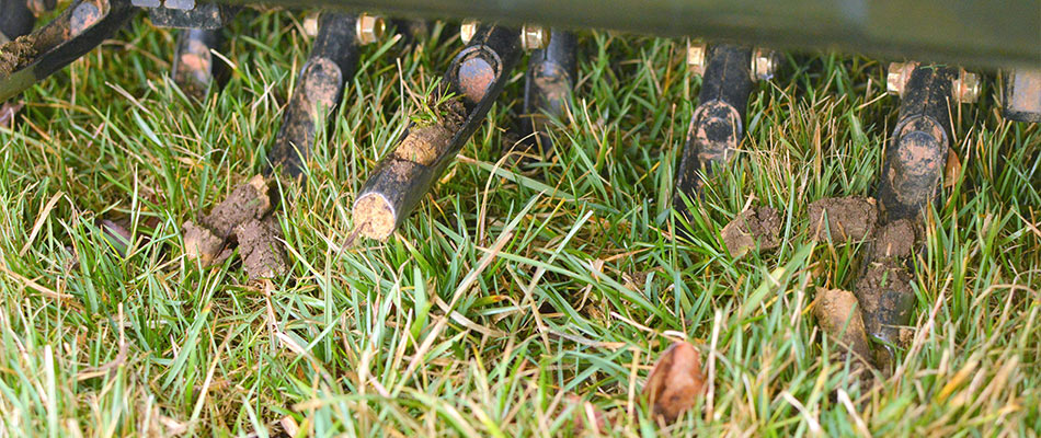 Core aeration machine pulling up small cores of dirt in a lawn near Arlington, TN.