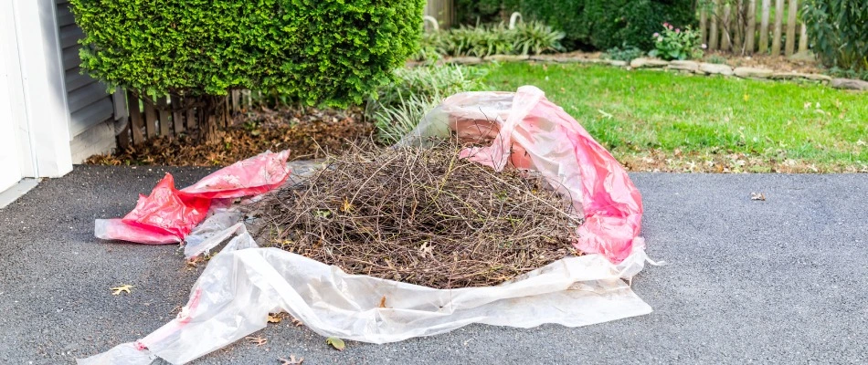 Debris pick up for spring cleanup service in Lakeland, TN.