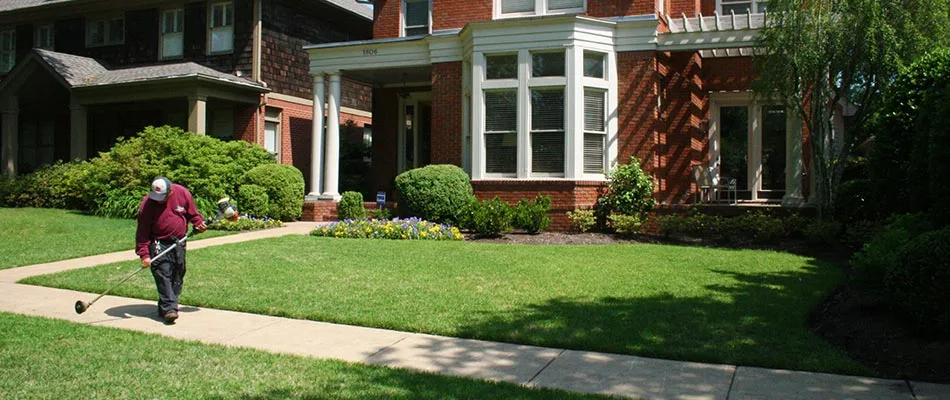 Edging the walkway in front of a mowed home lawn near Arlington, TN.