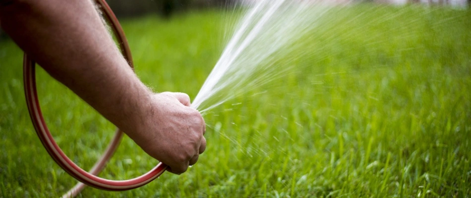 Hand watering new sod installed in Piperton, TN.