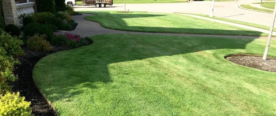 Healthy lawn with shadow in Memphis, TN.