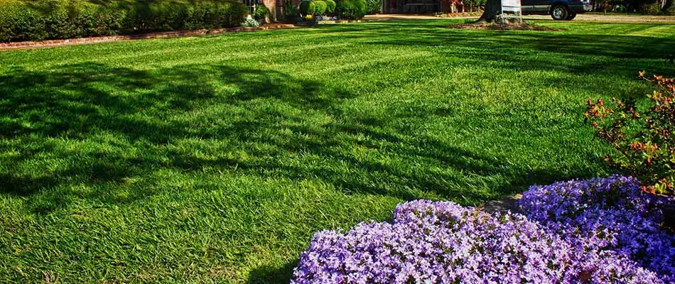 Healthy, green grass and colorful flowers at a home in Bartlett, TN.