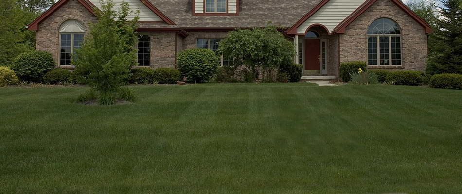A healthy green and regularly mowed lawn in front of a home in Collierville, TN.