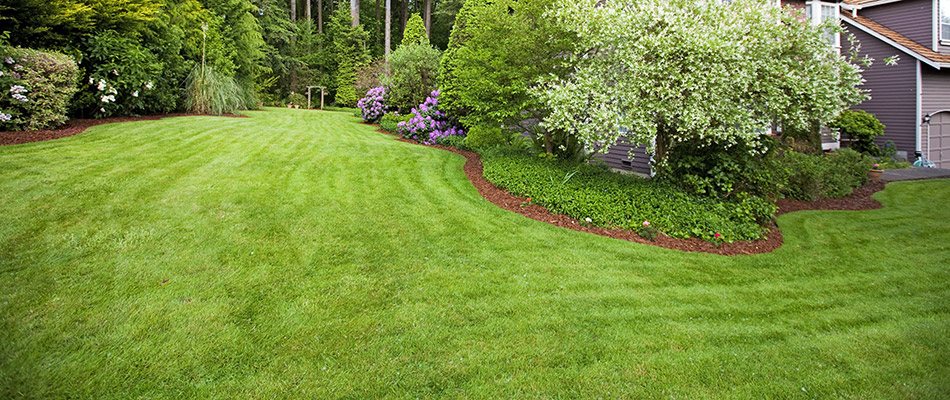 A thick, healthy, side lawn be a home in Spring River, AR.