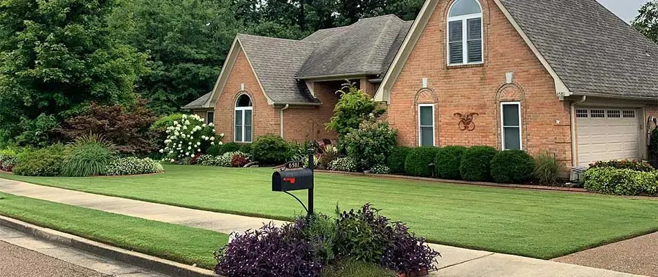Home with landscaping services in Collierville, TN.