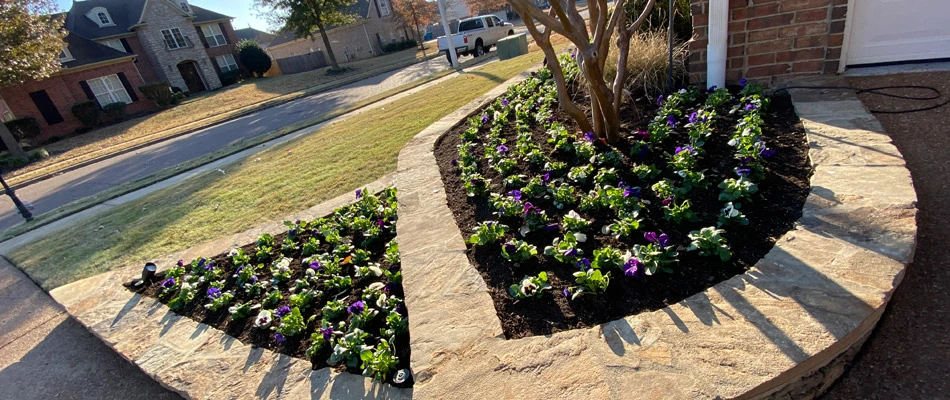 Landscape bed with mulch covering in Memphis, TN.