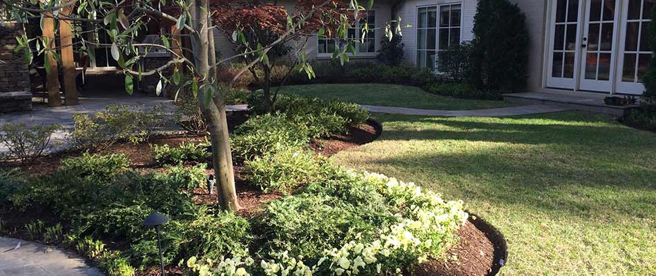Landscape bed renovation with plantings in Collierville, TN.