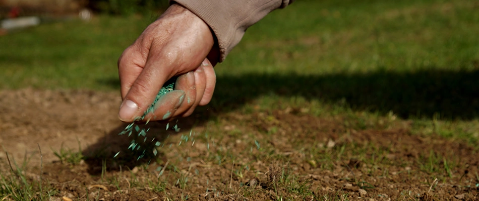 Lawn care professional sowing grass seeds over a lawn near Collierville, TN.