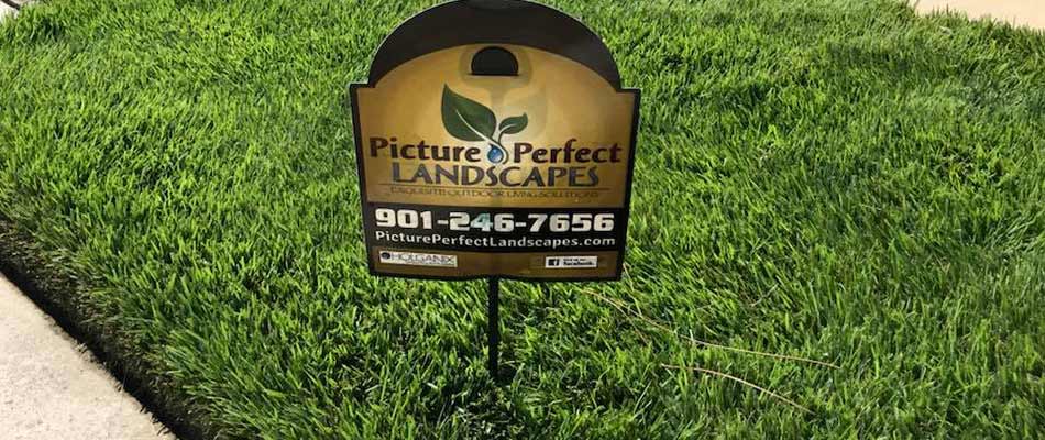 Lawn care sign in a yard near Germantown, TN.