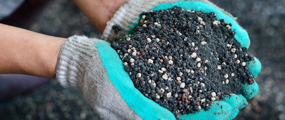 Lawn professional wearing gloves and holding hand fulls of granular herbicid near Bartlett, TN.