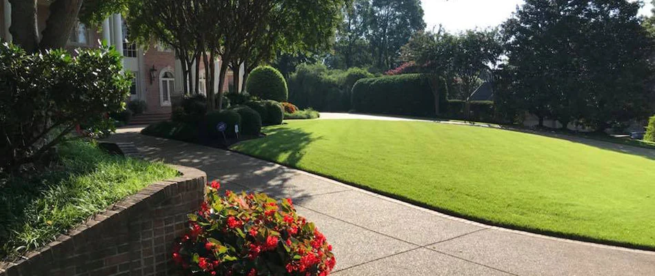 Collierville, TN yard with effective weed control service.