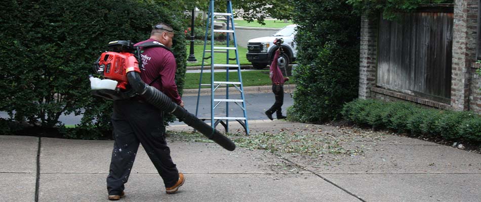 Yard cleanup service with leaf removal by leaf blowers in Collierville, TN.