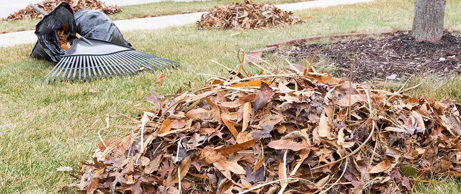 Bagged leaves beside a rake for fall cleanup service in Arlington, TN.