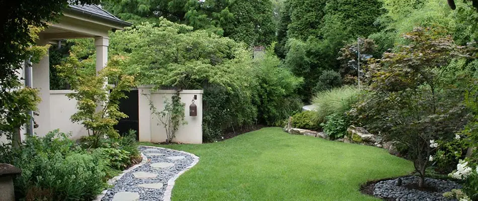 Lush back yard with beautiful plants and green grass in North Memphis, TN.