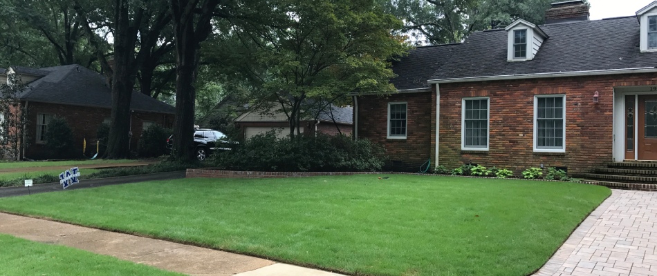 Maintained lawn after services done by professionals at Picture Perfect in Millington, TN.