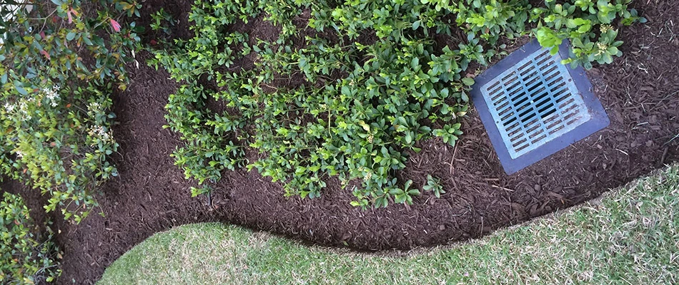 A mulched topped landscape bed in East Memphis, TN.