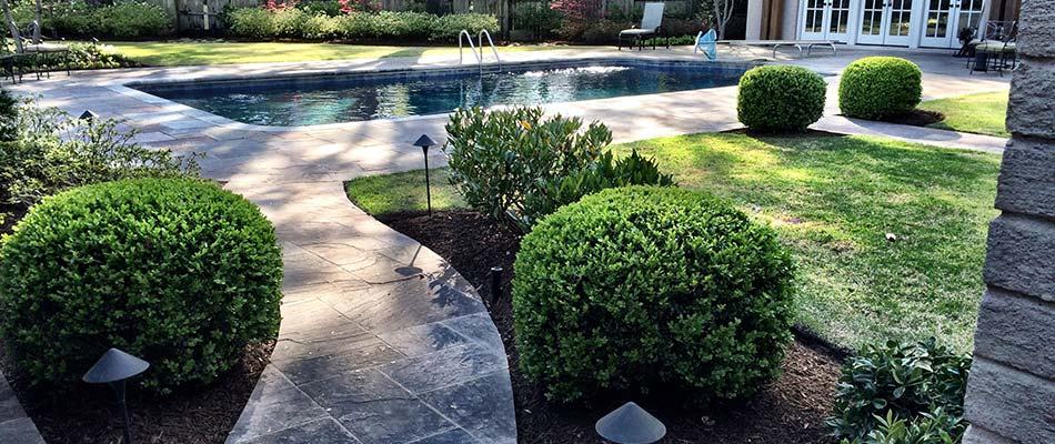 Neatly trimmed landscape bushes around a pool in Oakland, TN.