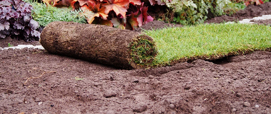 New sod being rolled out onto a lawn near Arlington, TN.