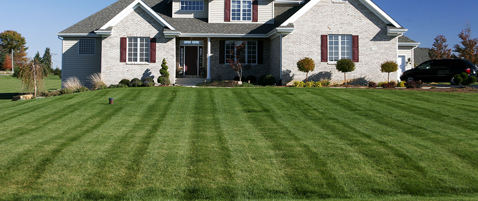 A freshly mowed lawn in front of a white brick home in Germantown, TN.