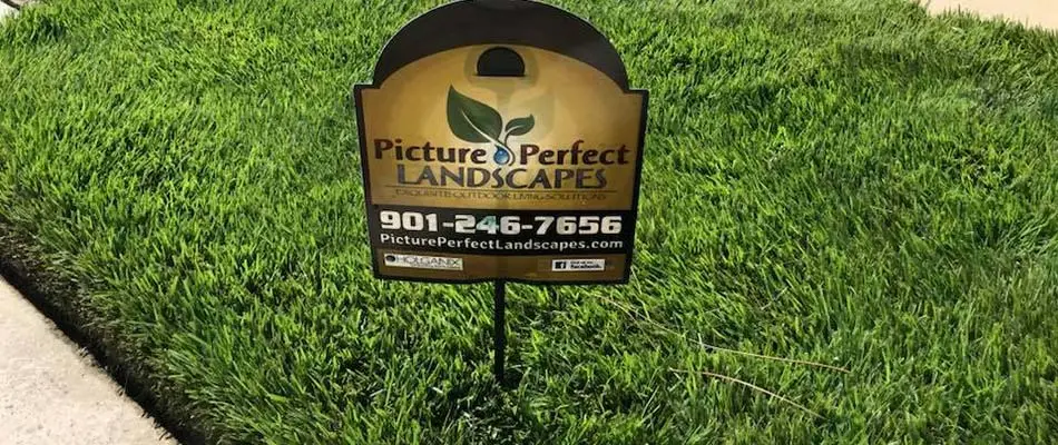 Picture Perfect Landscapes lawn sign in green grass near Arlington, TN.