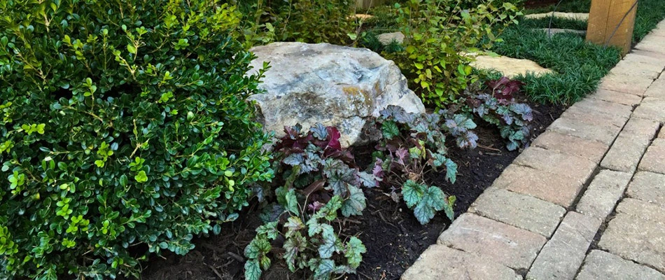 A landscape bed with plantings and a decorative boulder on a property in Eads, TN.