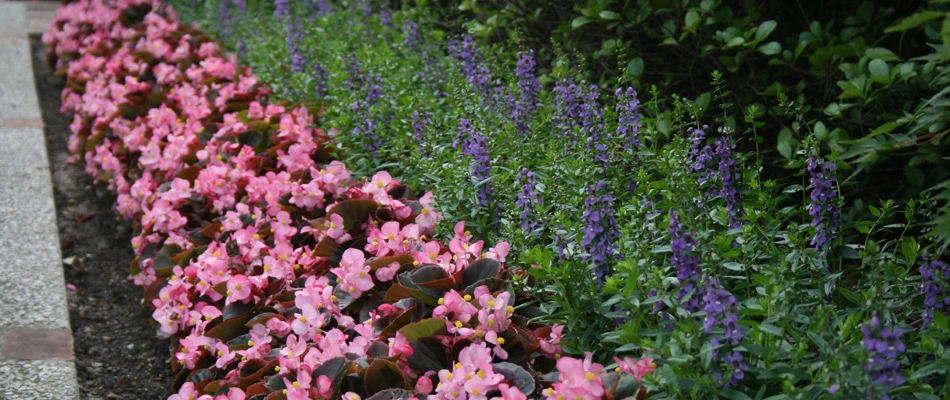 Plantings installed in a landscape bed beside walkway in Sea Isle Park, TN.