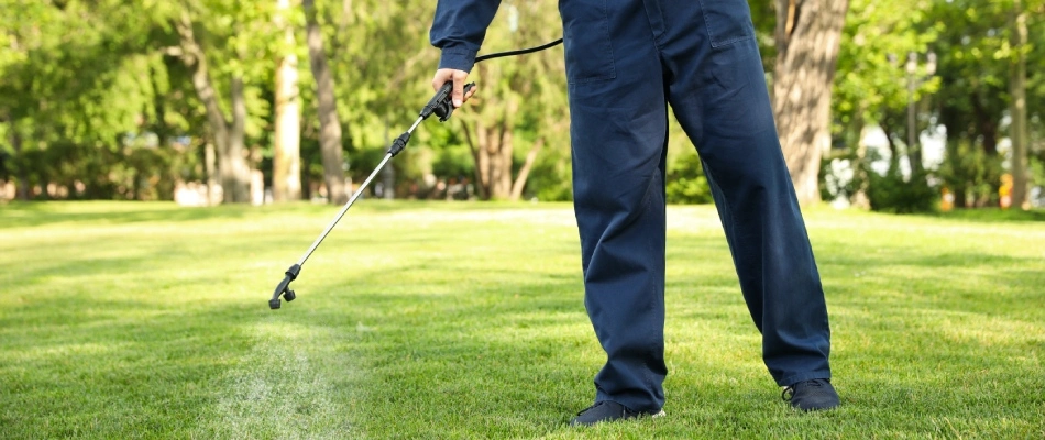 Professional applying pre-emergent weed control to lawn in Germantown, TN.