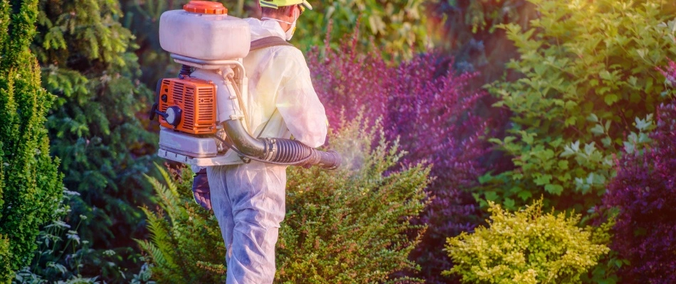 Professional with backpack fogger spraying area with mosquito control treatment in Germantown, TN.