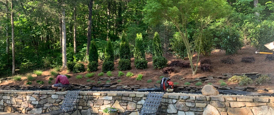 Professionals installing mulch to landscape bed near a pool in Cordova, TN.