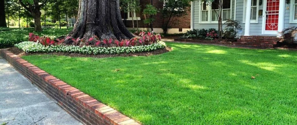 Property with green lawn and nice landscaping in Memphis, TN.