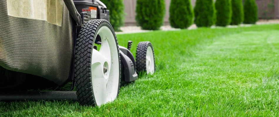 Push mower in newly installed lawn ready for first mow in Germantown, TN.