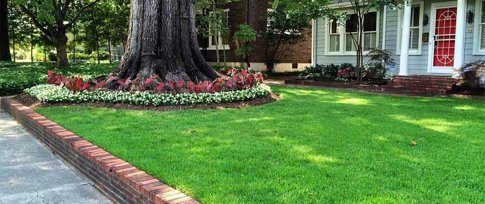 Raised lawn with landscape maintenance in North Memphis, TN.