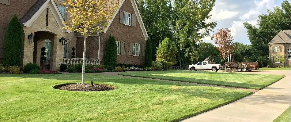 Residential lawn with green grass and small tree in Memphis, TN.