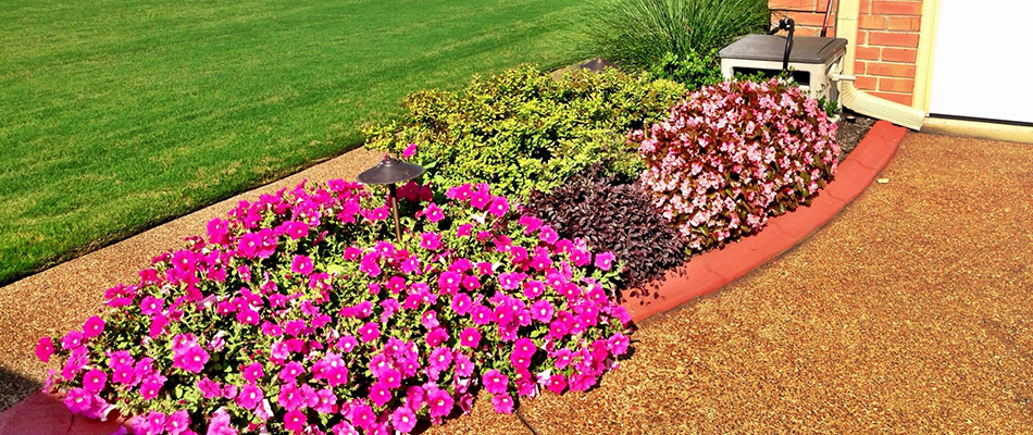 A small landscape bed of pink flowers well maintained on a property in Lakeland, TN.