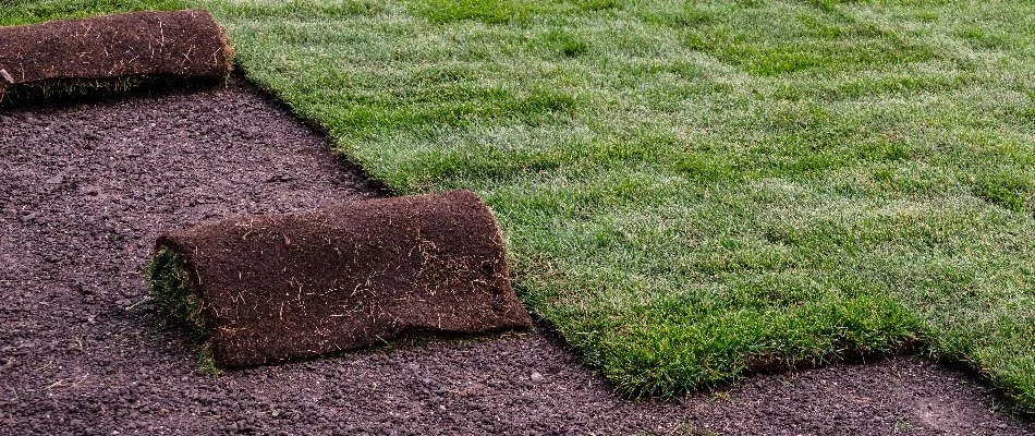 Sod being installed on a property in Memphis, TN.
