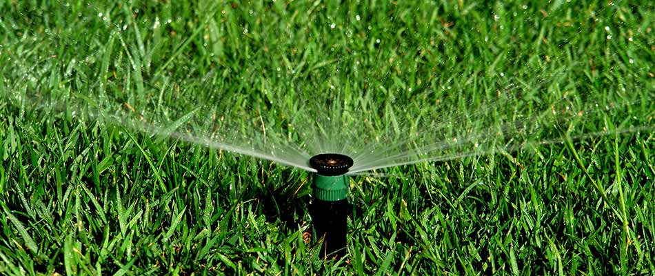 Sprinkler watering healthy, green grass in Arlington, TN.