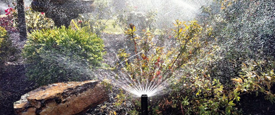 An irrigation system in use on a landscape in Memphis, TN.
