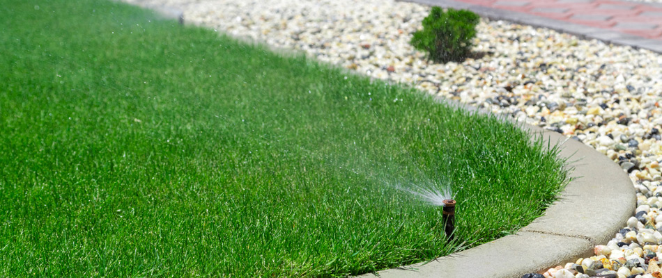 Sprinkler in a lawn in Memphis, TN.